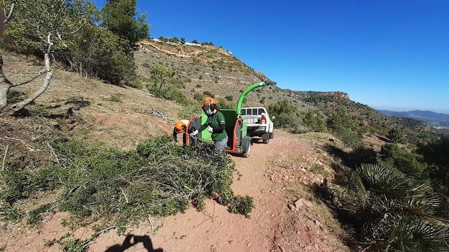 Cuatro pueblos en riesgo de despoblación reciben una ayuda para prevenir incendios