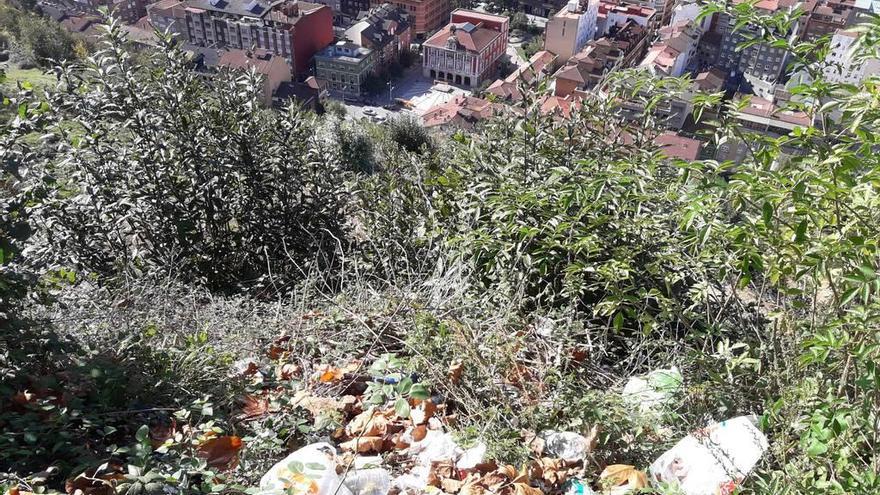 Un vertedero en la ladera oeste de Mieres.