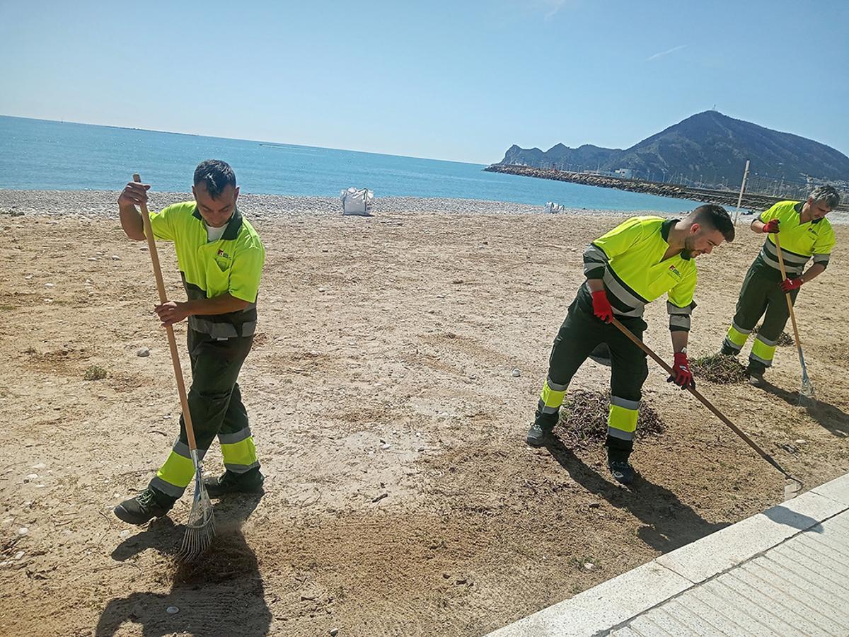 Operarios trabajan en la playa en Altea.