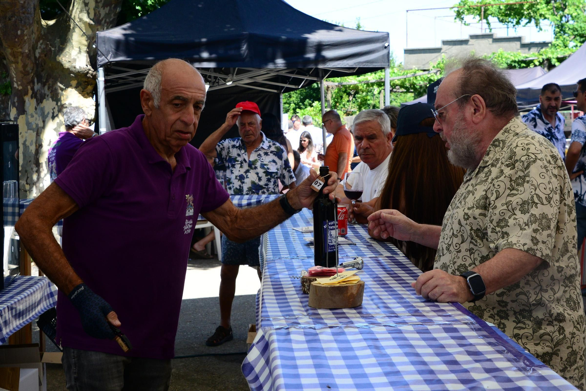 El último día de la XIX Festa do Tinta Femia de Cela