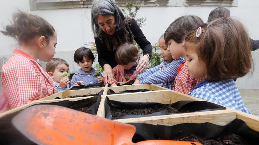 Un huerto en el Dolores Medio a dos pasos de la Catedral de Oviedo