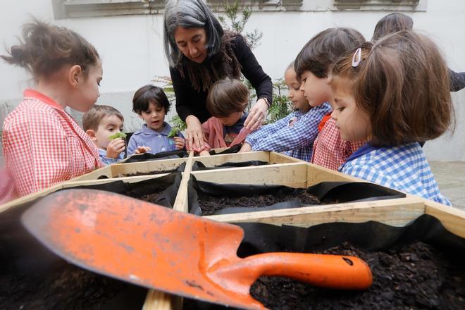 EN IMÁGENES | Un huerto a dos pasos de la Catedral en el Dolores Medio