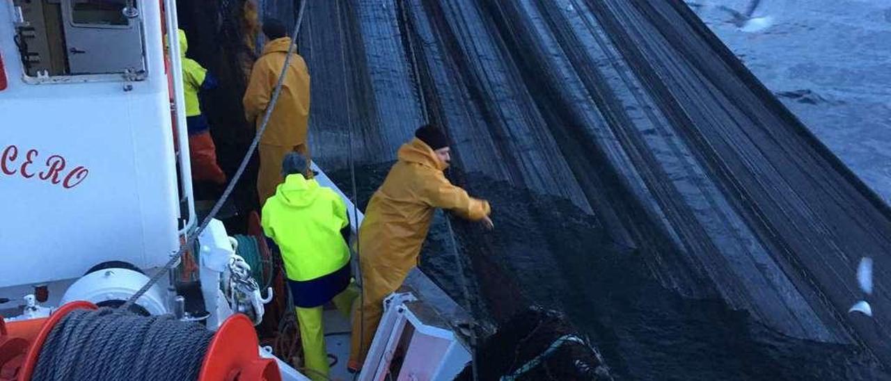 &quot;Alguna sardina y poco más&quot;  |  Los cerqueros de las rías de Vigo y de Pontevedra no se han desplazado en masa al País Vasco. La mayoría se encuentran estos días faenando fuera de las rías, donde capturan sobre todo &quot;alguna sardina&quot; y poco más, ya que jurel &quot;no hay casi nada&quot;. Eso sí, el precio que alcanza la sardina se sitúa entre los 10 y los 30 euros la caja. &quot;Un buen precio&quot;, según José Manuel Saavedra, que ayer envió la fotografía sobre estas líneas durante un lance.