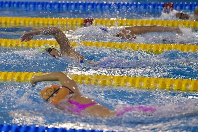 Campeonato de España de natación. Mireia ...