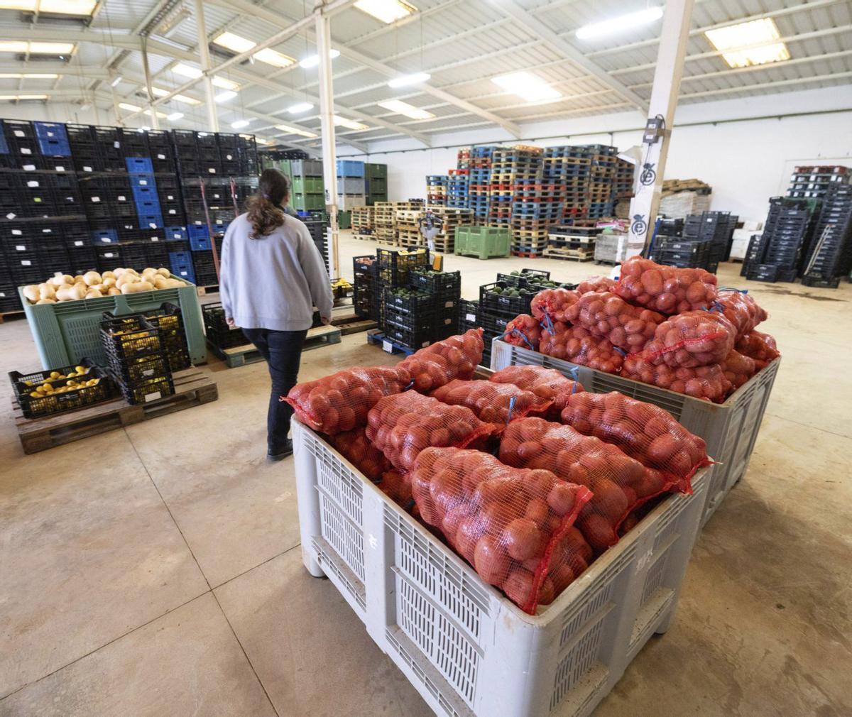 ‘Palets’ de patatas recogidas con ganchos y almacenadas esta semana en Agroeivissa.