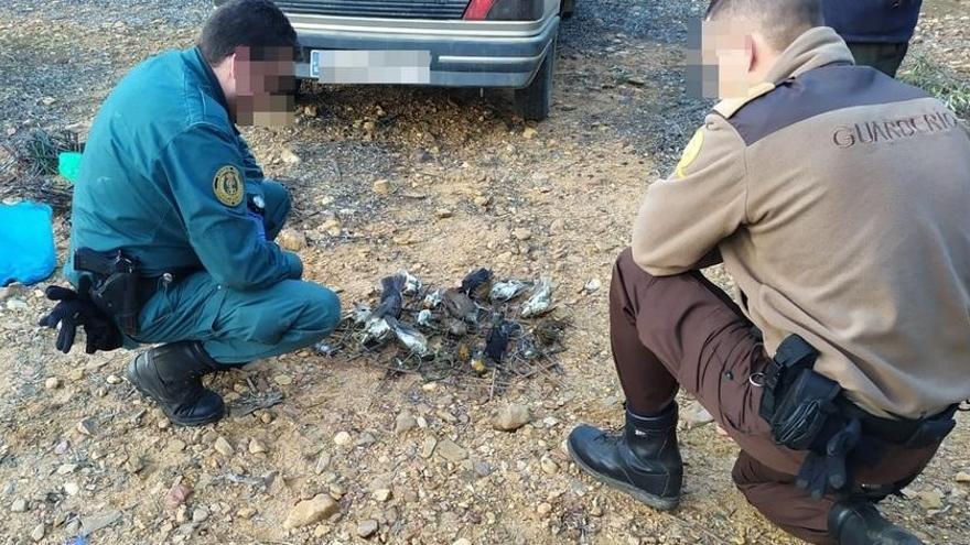 Sorprenden a un vecino de Hernán Cortés cazando ilegalmente aves protegidas