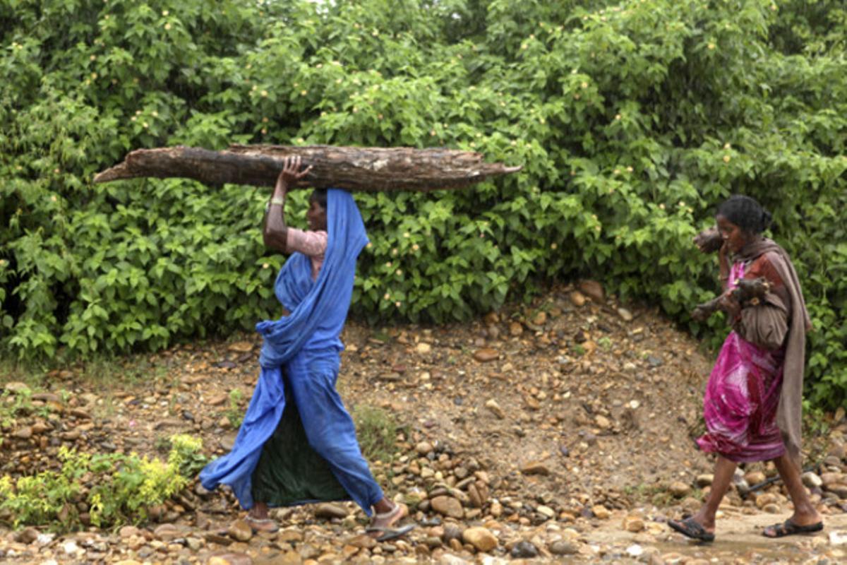 Treballadores de les obres del ferrocarril transporten llenya durant la construcció d’una nova línia a Amrítsar(Índia).