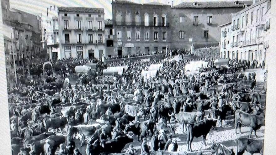 El singular lenguaje que utilizaban los tratantes y negociantes en los mercados de Zamora del siglo XIX: del "tres y pico" a la "pinta" o el "bicho"