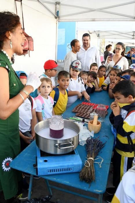 Feria de la Salud en Las Remudas