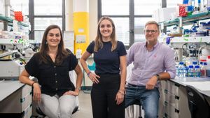 Los investigadores Alexandra  Avgustinova, Inés Sentís y Holger  Heyn.