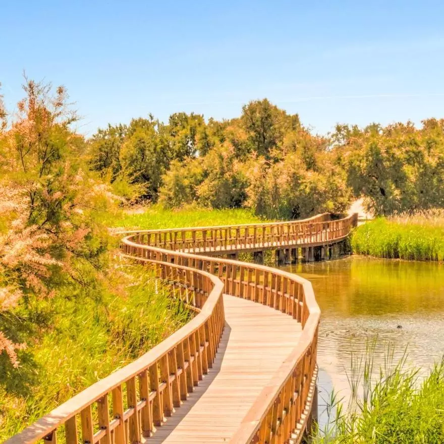 La Reserva de la Biosfera perfecta para visitar en septiembre tiene pasarelas flotantes sobre el agua