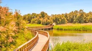 La Reserva de la Biosfera perfecta para visitar en septiembre tiene pasarelas flotantes sobre el agua