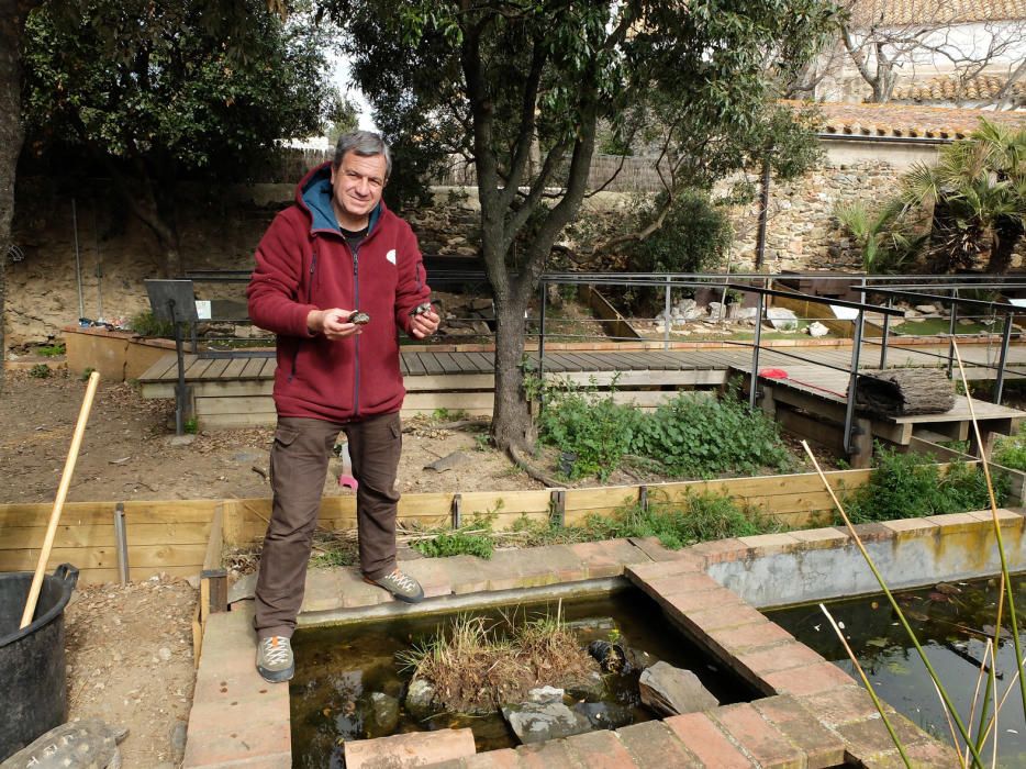 Centre de Tortugues de l''Albera