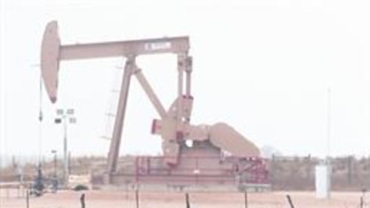 Una vaca, en su pasto junto a un pozo de petróleo en el Eagle Ford Shale, en Tejas.