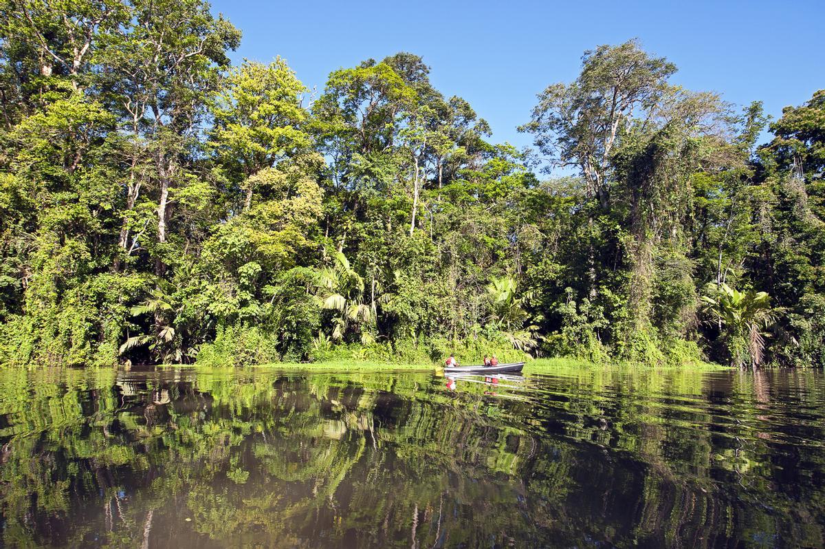 Recorrer los canales del Parque Nacional Tortuguero en Costa Rica es adentrarse en la "Amazonia centroamericana", una red de ríos y caños rodeados de selva tropical exuberante