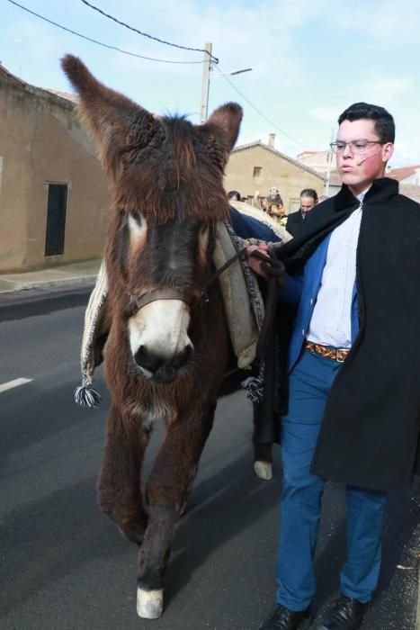 Celebración del día de san Antón en Monfarracinos.