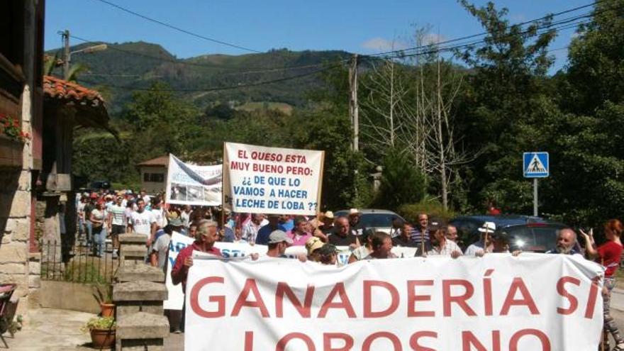 Piden la suspensión de una carrera por Somiedo para no perjudicar a los osos