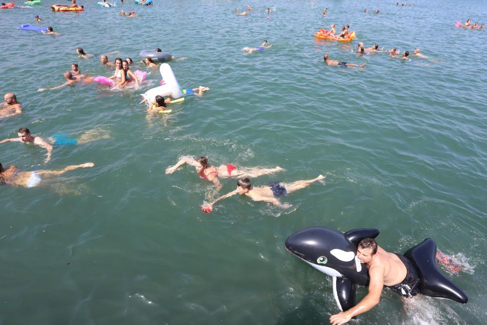 Cucañas del Port de Sagunt 2019