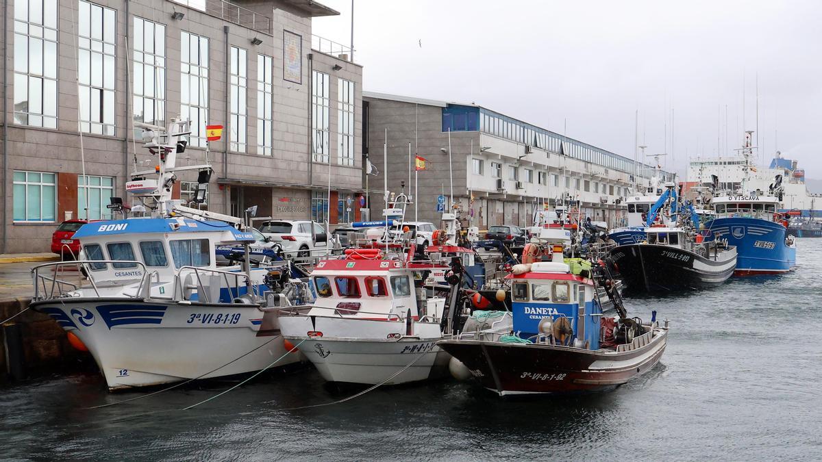 Pesqueros amarrados en el Puerto de Vigo