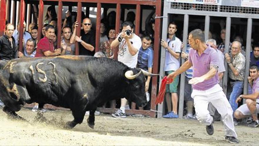 Los tres heridos por los ‘bous embolats’ de Almassora evolucionan bien en el General