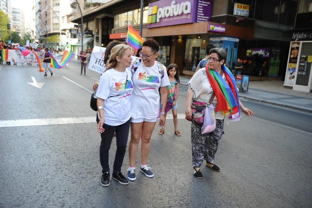 Murcia celebra el Orgullo