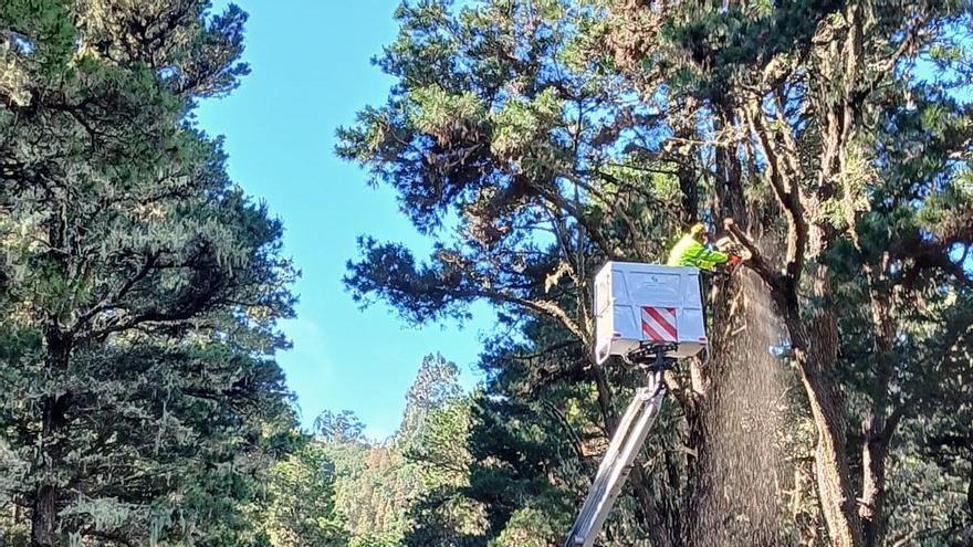 El Cabildo de Gran Canaria licita por 11,7 millones el control de la vegetación en los márgenes de las carreteras