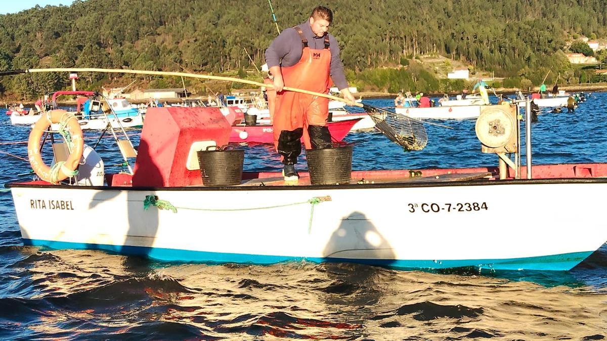 La campaña marisquera de Noia, iniciada ayer.
