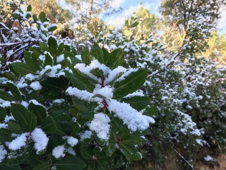 Ligera capa de nieve también en Sierra Salinas