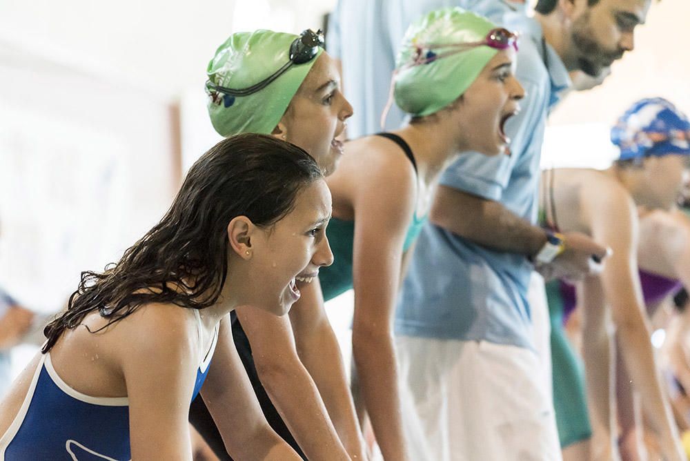 Más de 300 participantes y numeroso público asisten a la trigésimo primera edición del Trofeo Ciutat d'Eivissa de natación.