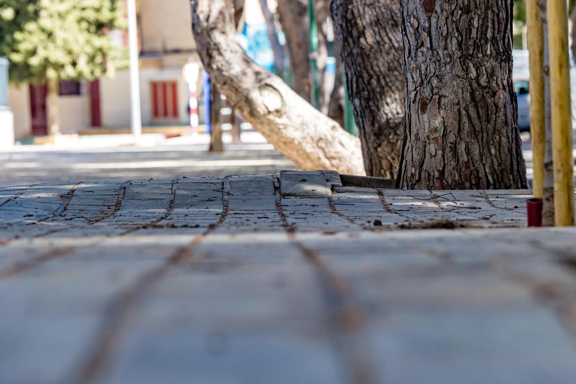 Un bosque invade una calle de la Playa de San Juan