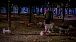 Barcelona repartirá 2.000 paquetes de bolsas para recoger heces de perros