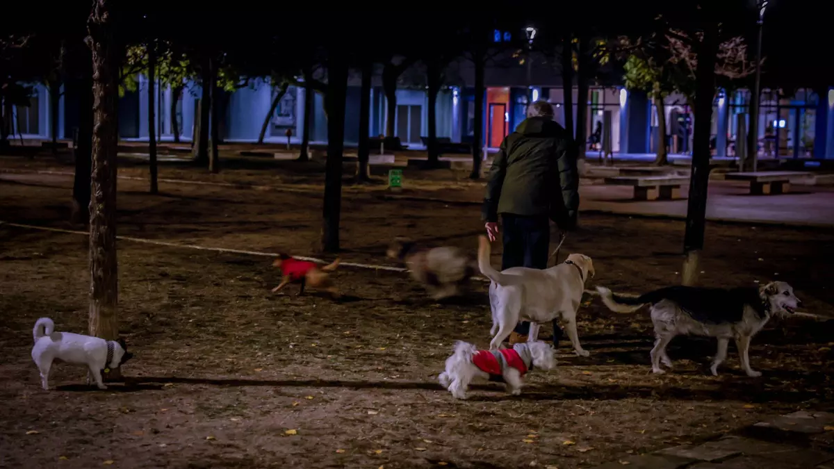 Barcelona repartirá 2.000 paquetes de bolsas para recoger heces de perros
