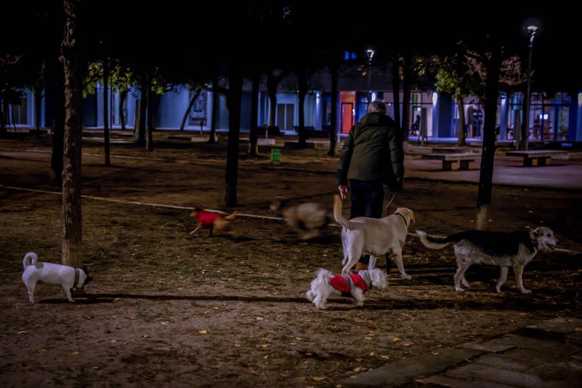 Perros desatados en interiores de manzana de Poblenou en enero de 2024, a pesar de la normativa del ayuntamiento que obliga a llevarlos atados