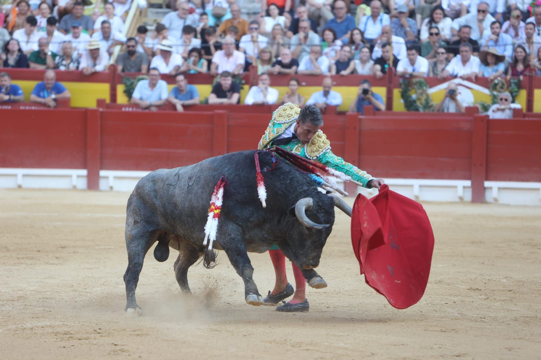 Así ha sido la tarde de Toros de Victorino Martín para Manuel Escribano, en solitario, en Alicante