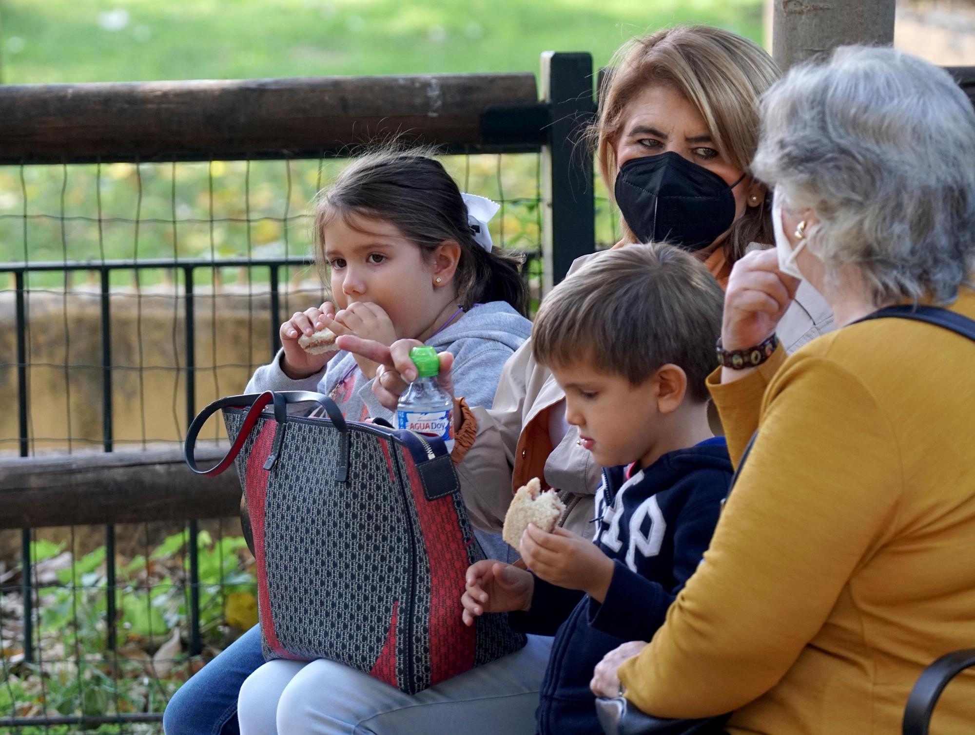 Día festivo en el Zoológico de Córdoba