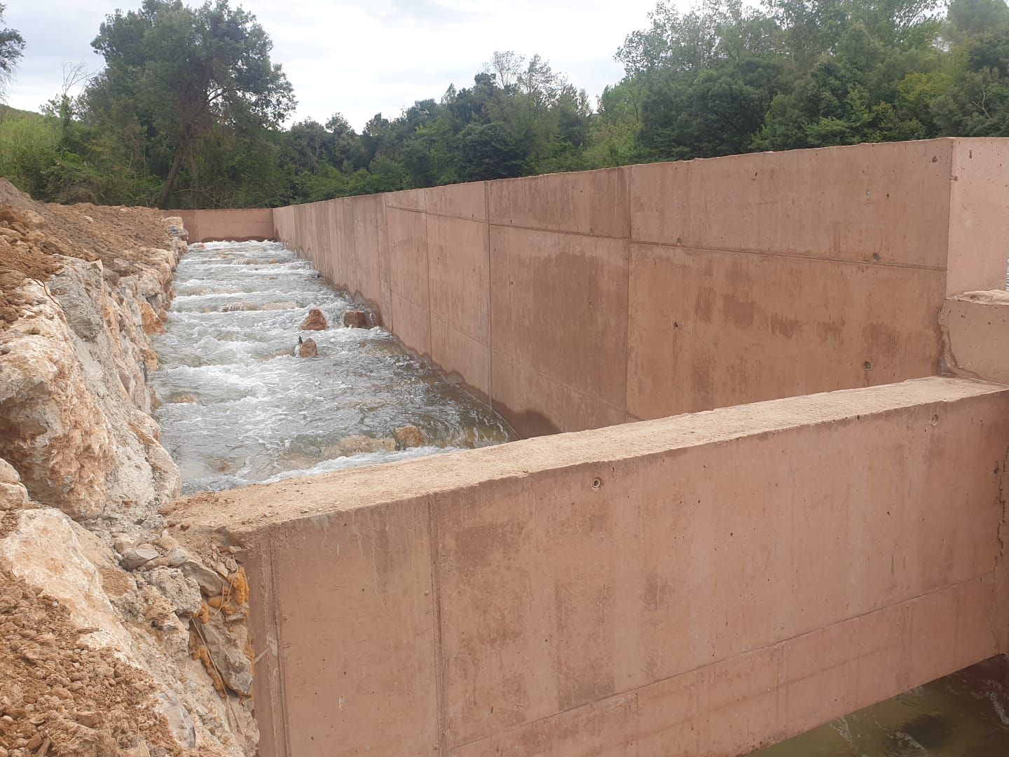 Un nou connector fluvial facilita el moviment dels peixos a Boadella i les Escaules