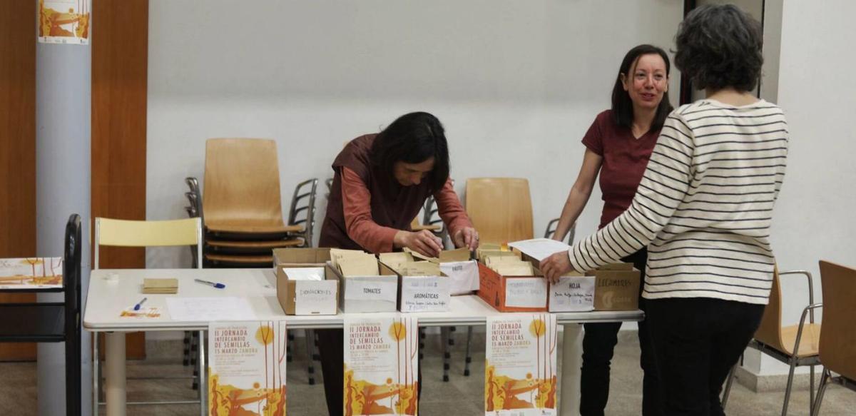 Las organizadoras colocan los sobres de semillas antes del intercambio.
