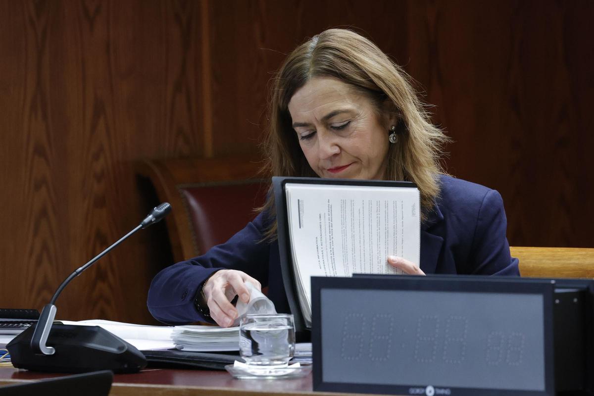 La directora general de Protección Civil, Virginia Barcones