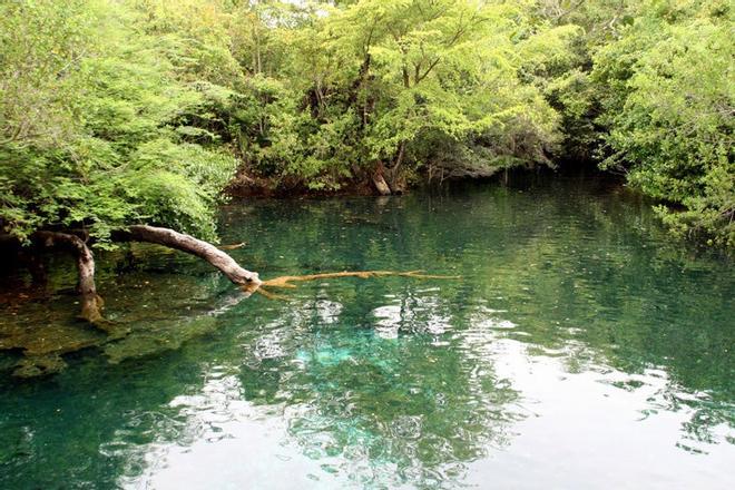 Reserva Ecológica Ojos Indígenas