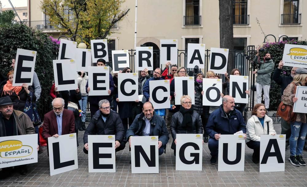 Manifestación en varias ciudades de la Comunitat Valenciana contra la Ley del Plurilingüismo