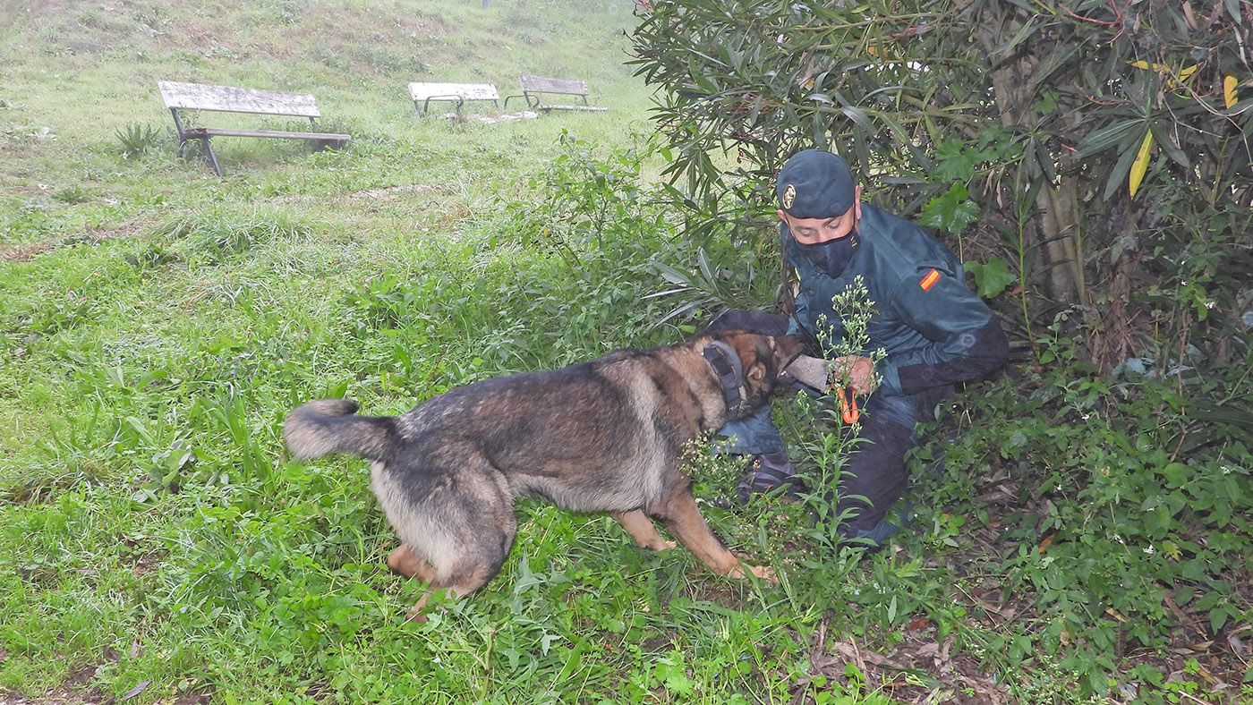 El agente de la Guardia Civil Víctor Fraga con Koto, en Ourenser