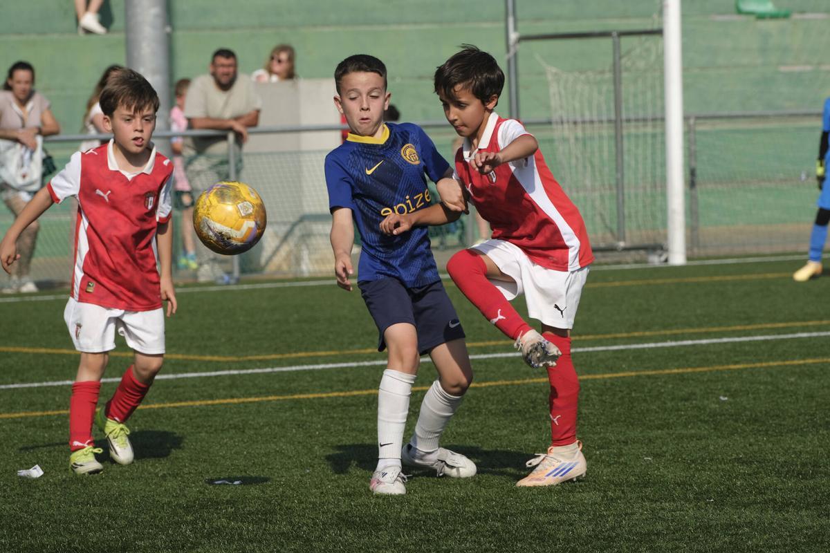 Imatges de la TEA Football Cup 2026 de Sant Fruitós