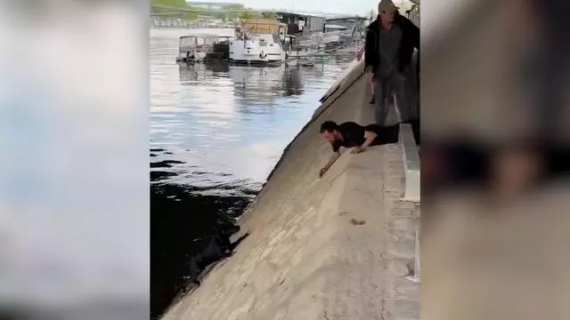 Angustioso rescate a un perro en el río Sena de París