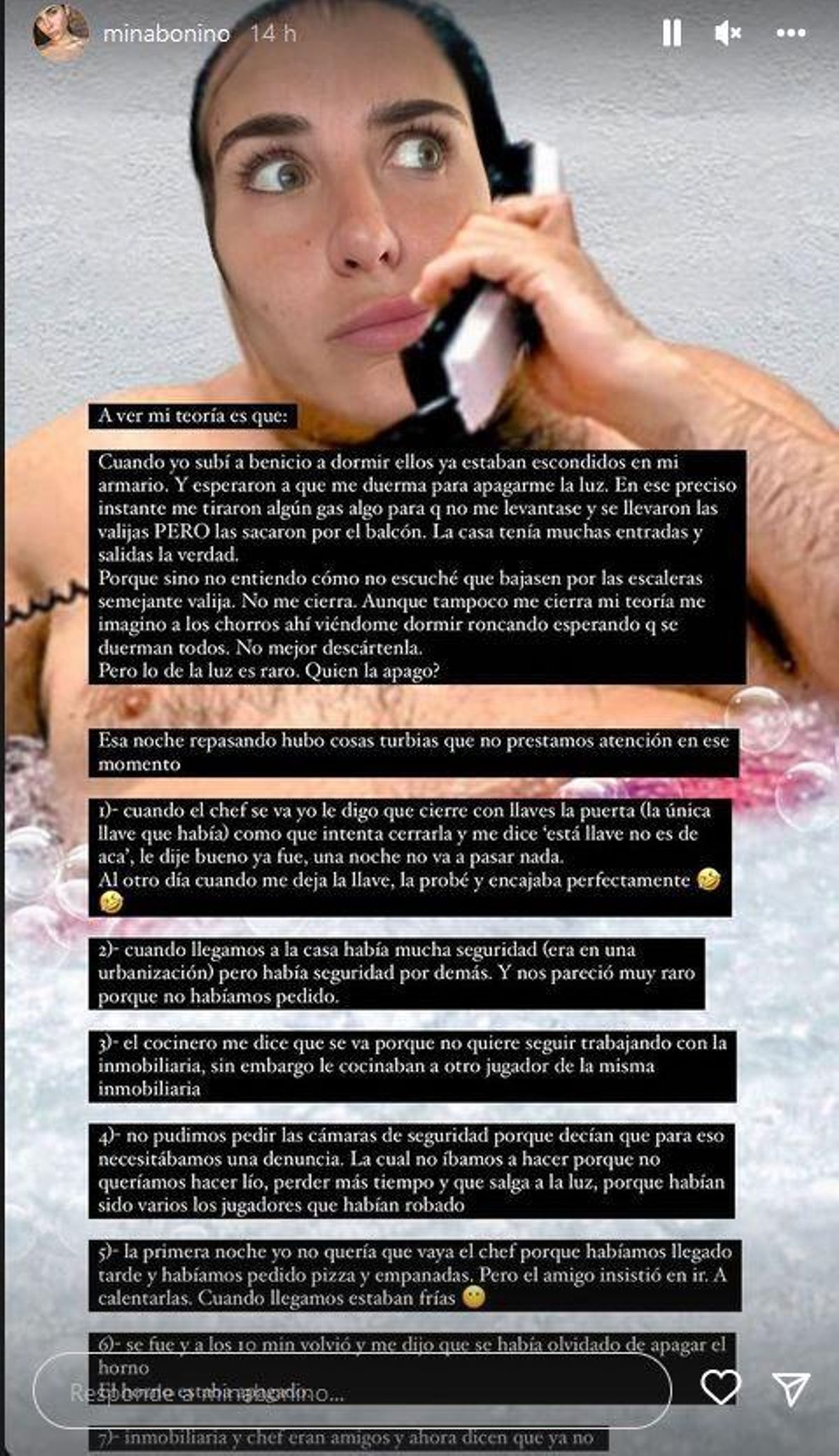 La teoría de Mina Bonino sobre el robo.