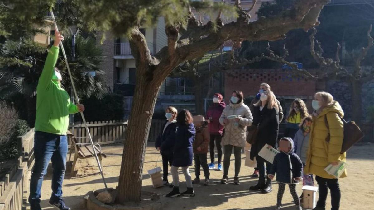 La Jugateca de Medi Ambient de Castellví s’estrena amb un taller de caixes niu per a ocells | AJ. CASTELLVÍ DE ROSANES