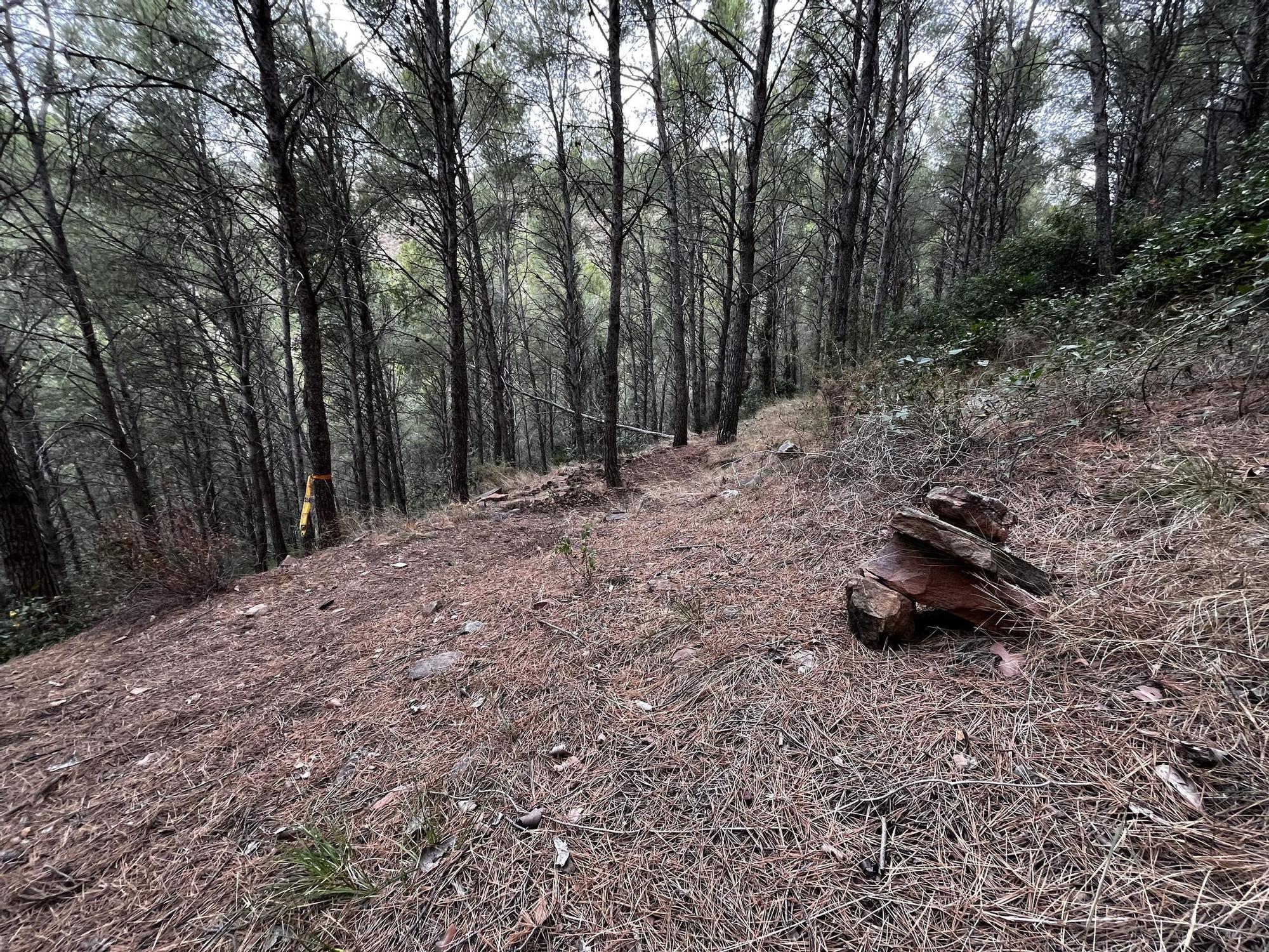 Las imágenes de la pista ilegal abierta en la Vilavella para practicar BTT