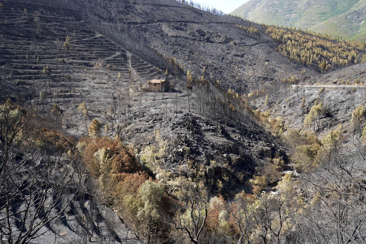 Imagen de archivo de la alquería de Avellanar Pinofranqueado (Cáceres), tras el cambio causado por el incendio, que ha dejado tres viviendas habituales y tres naves agrícolas perdidas, pero que ya está estabilizado. EFE/EDUARDO PALOMO