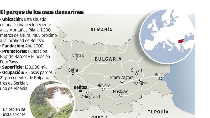 Bulgaria rescató al oso danzarín