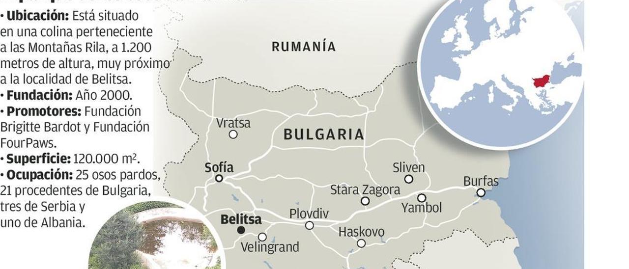 Bulgaria rescató al oso danzarín