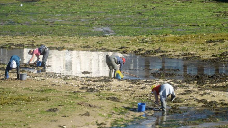 Mariscadoras, en una jornada de extracción.   | // NOÉ PARGA